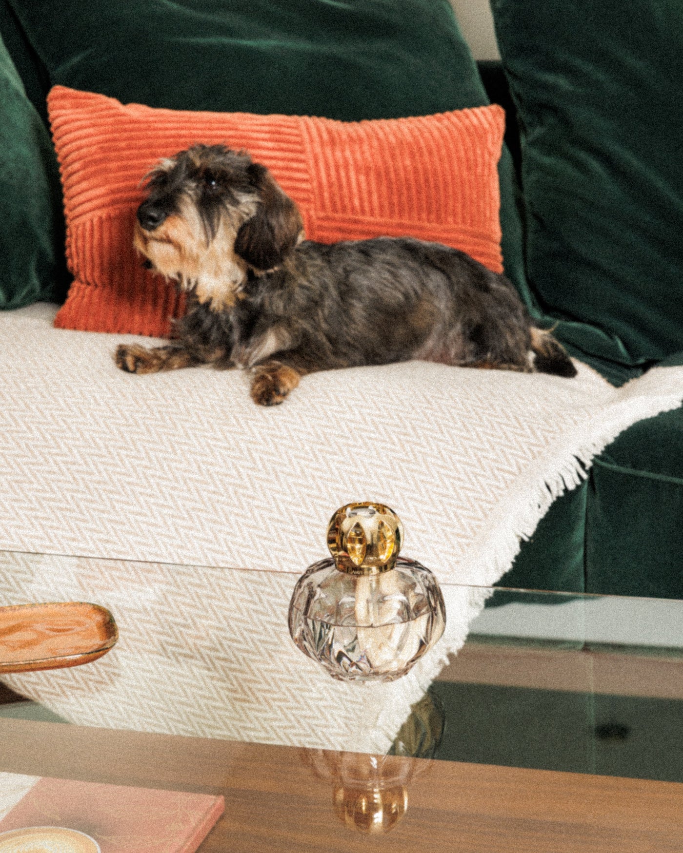 Grey Rosalie Lamp Berger Gift Pack