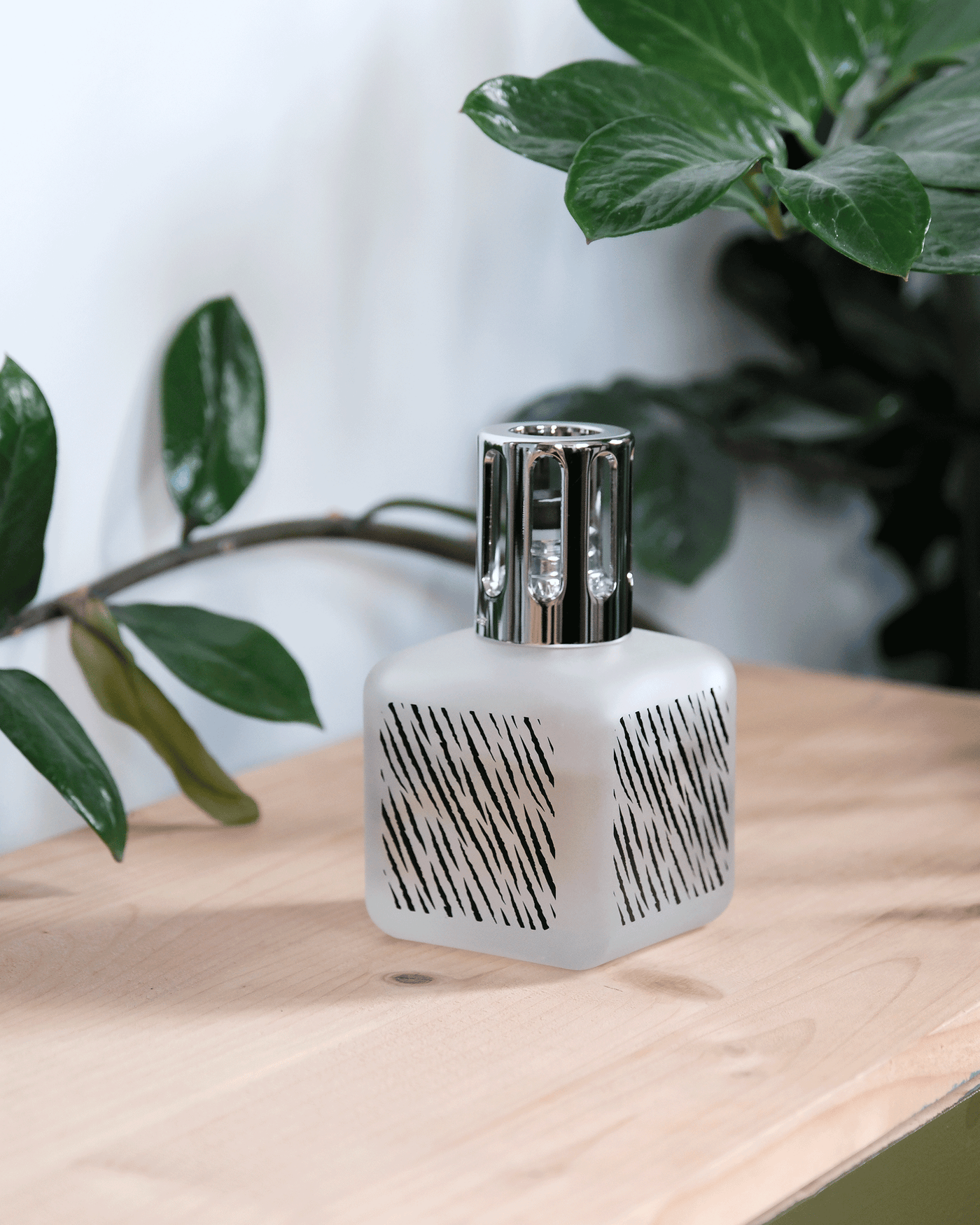 Zebra Glaçon Lamp Berger Gift Pack