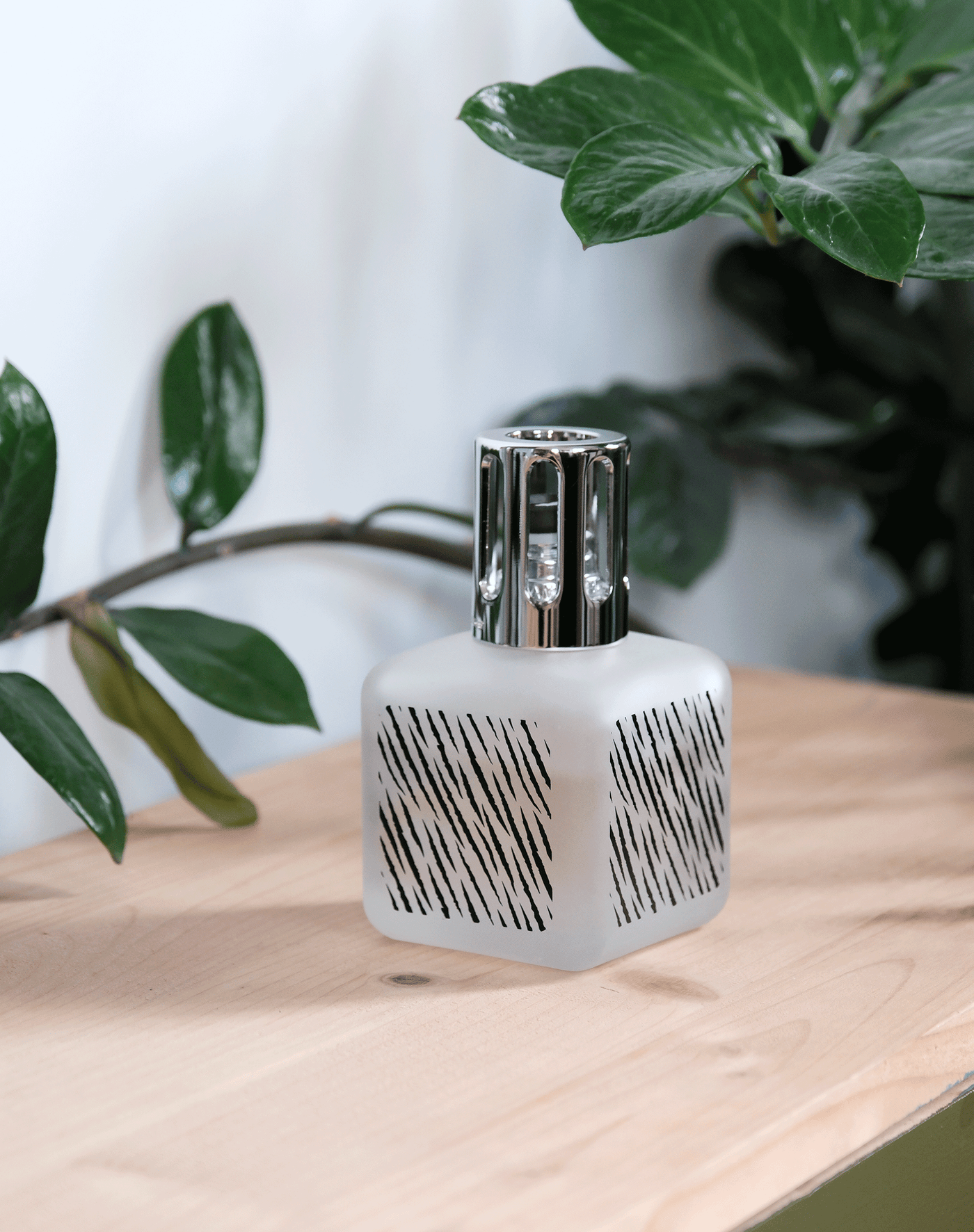 Zebra Glaçon Lamp Berger Gift Pack