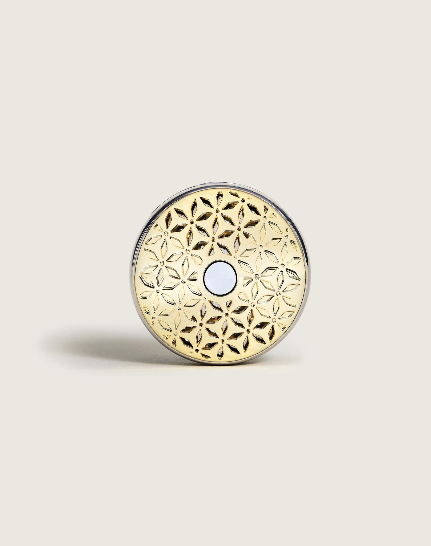 Adjustable Pomelis Car Diffuser