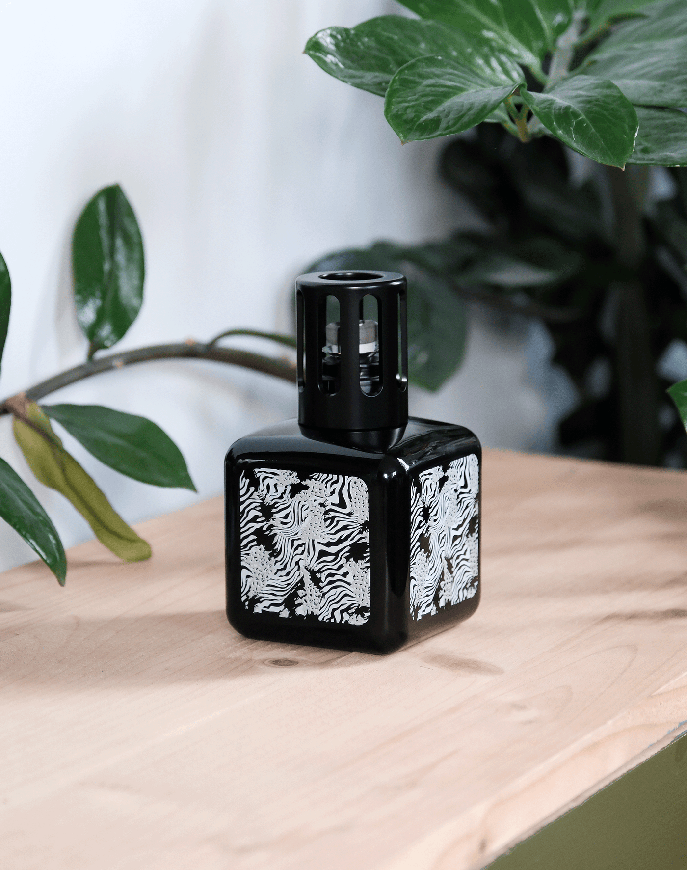 Animal Glaçon Lamp Berger Gift Pack